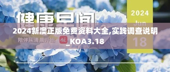 2024新澳正版免费资料大全,实践调查说明_KOA3.18