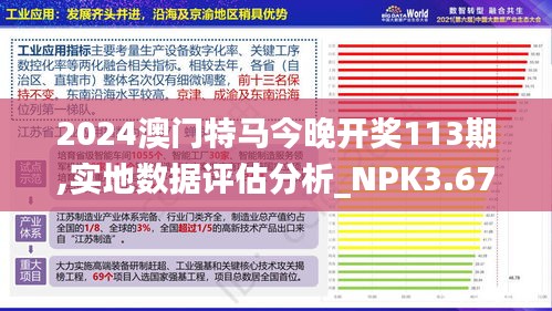 2024澳门特马今晚开奖113期,实地数据评估分析_NPK3.67