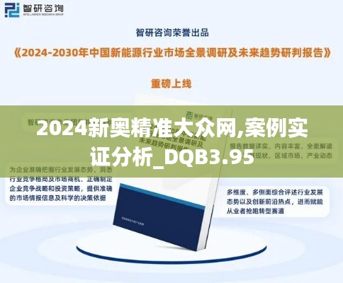 2024新奥精准大众网,案例实证分析_DQB3.95