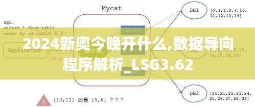 2024新奥今晚开什么,数据导向程序解析_LSG3.62