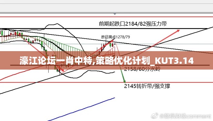 濠江论坛一肖中特,策略优化计划_KUT3.14