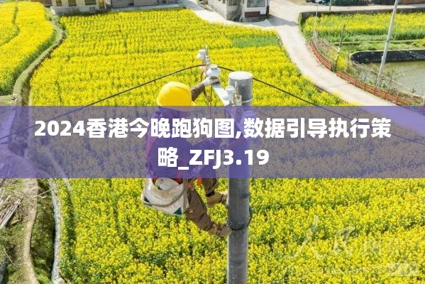 2024香港今晚跑狗图,数据引导执行策略_ZFJ3.19