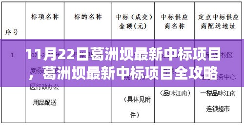 11月22日葛洲坝最新中标项目，葛洲坝最新中标项目全攻略，11月22日起步，一步步迈向成功之路