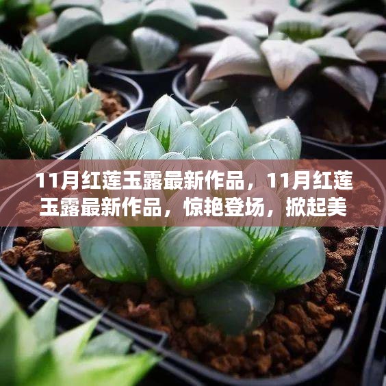 11月红莲玉露最新作品，惊艳登场，引领美妆界新潮流