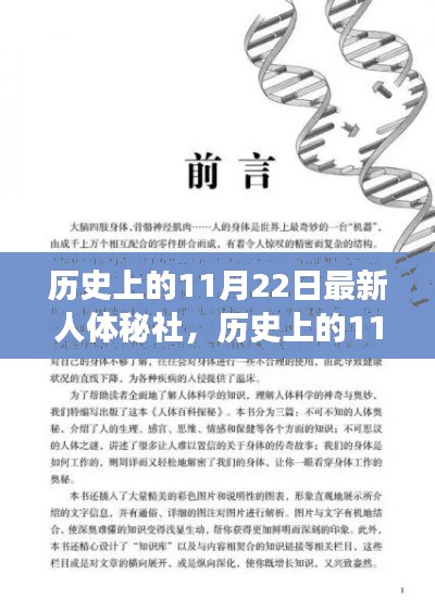 历史上的11月22日最新人体秘社，历史上的11月22日，人体秘社的新视角与深度解读下的观点碰撞