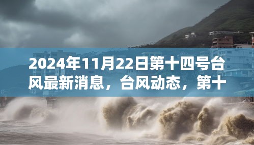 2024年第十四号台风最新动态，台风来临与影响分析