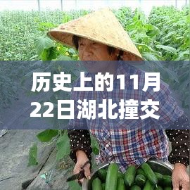 历史上的11月22日湖北撞交警最新消息，历史上的今天，湖北交警事件鼓舞人心，变化带来自信与成就感