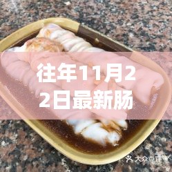 往年11月22日最新肠粉视频，时光里的肠粉传奇，历年11月22日最新视频的回眸