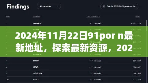 2024年11月22日91por n最新地址，探索最新资源，2024年热门网址解析与体验分享
