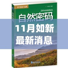 11月如新最新消息，探索自然秘境，11月如新的旅行奇迹，一场远离尘嚣的心灵之旅