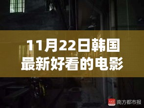 11月22日韩国最新好看的电影，揭秘隐藏小巷的神秘影院，探寻韩国最新好看的电影盛宴