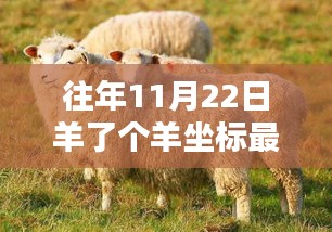 往年11月22日羊了个羊坐标最新，逃离都市喧嚣，羊了个羊坐标新探，与自然美景的不解之缘