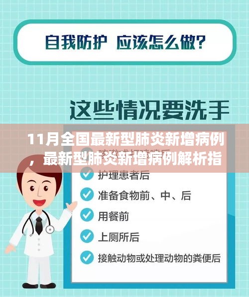 11月全国最新型肺炎新增病例，最新型肺炎新增病例解析指南，11月版，适合初学者与进阶用户阅读