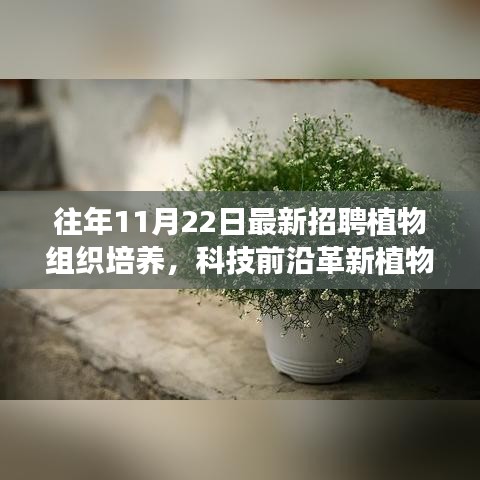 往年11月22日最新招聘植物组织培养，科技前沿革新植物培育方式，全新智能植物组织培养系统重磅发布