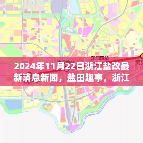 2024年11月22日浙江盐改最新消息新闻，盐田趣事，浙江盐改中的温情日常与友情纽带