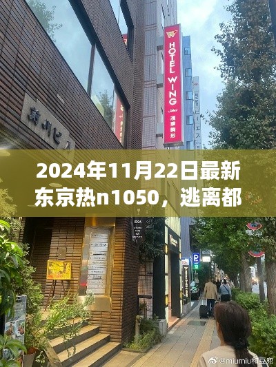 东京秘境探寻，逃离喧嚣的都市，启程心灵之旅的自然秘境探索之旅