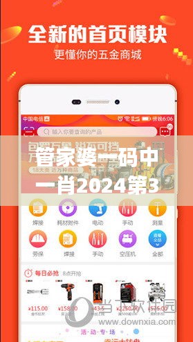 管家婆一码中一肖2024第330期,数据解释说明规划_风尚版FST11.20