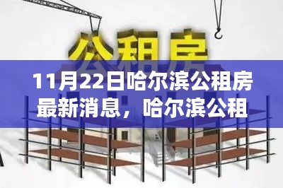 11月22日哈尔滨公租房最新消息，哈尔滨公租房申请指南，11月22日最新消息，教你如何轻松完成申请任务