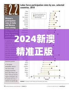 2024新澳精准正版资料332期,专业数据点明方法_定制版VFB11.55