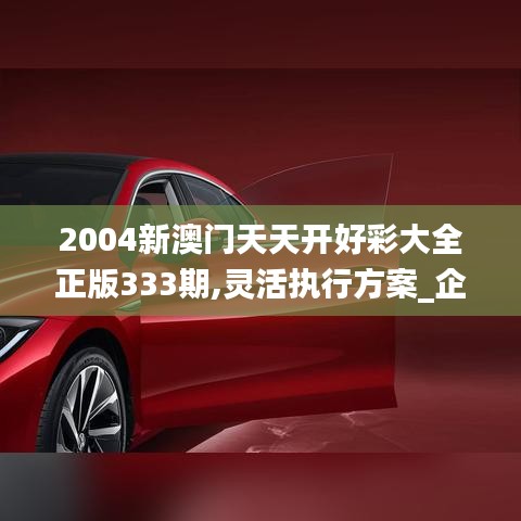 2004新澳门天天开好彩大全正版333期,灵活执行方案_企业版HYD11.78