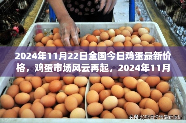 2024年11月22日全国鸡蛋最新价格深度解析，市场风云再起