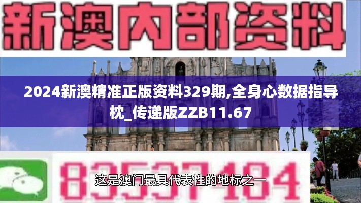 2024新澳精准正版资料329期,全身心数据指导枕_传递版ZZB11.67