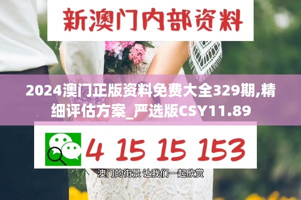 2024澳门正版资料免费大全329期,精细评估方案_严选版CSY11.89