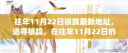 往年11月22日狼族最新地址，追寻狼踪，在往年11月22日的自然探险之旅，寻找内心的宁静之地