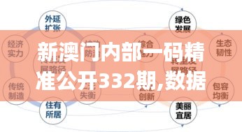 新澳门内部一码精准公开332期,数据引导执行策略_设计师版IYU11.44