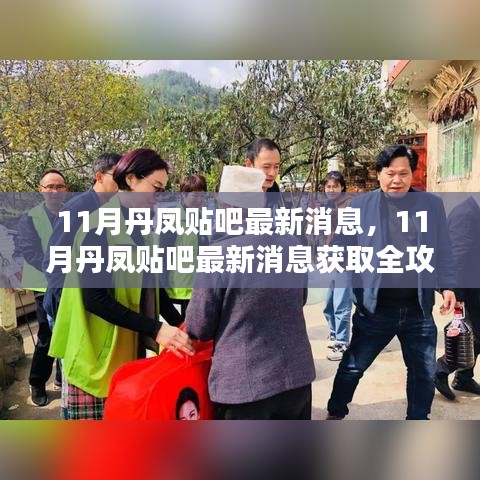 掌握最新资讯，丹凤贴吧11月最新消息获取全攻略