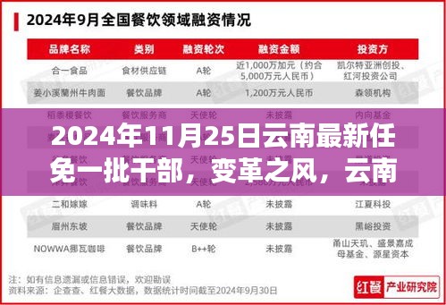 2024年11月25日云南最新任免一批干部，变革之风，云南新篇章，干部任免背后的力量与成长故事