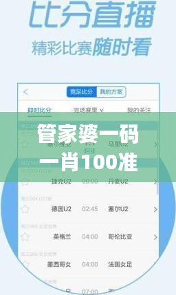 管家婆一码一肖100准333期,策略优化计划_交互版AWJ11.34