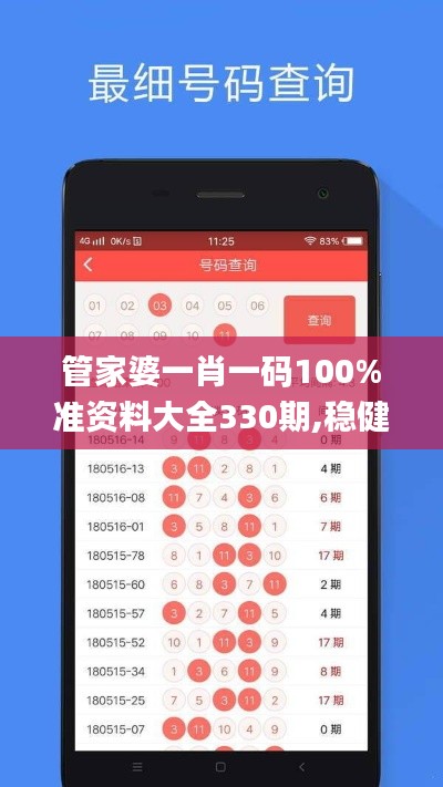 管家婆一肖一码100%准资料大全330期,稳健设计策略_多功能版OYE11.83