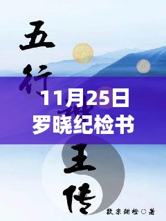 深度测评与介绍，罗晓纪检书记最新章节（11月25日更新）