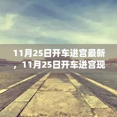 11月25日开车进宫最新，11月25日开车进宫现象之我见