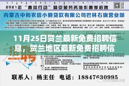 11月25日贺兰最新免费招聘信息，贺兰地区最新免费招聘信息深度解析，11月25日的机遇与挑战