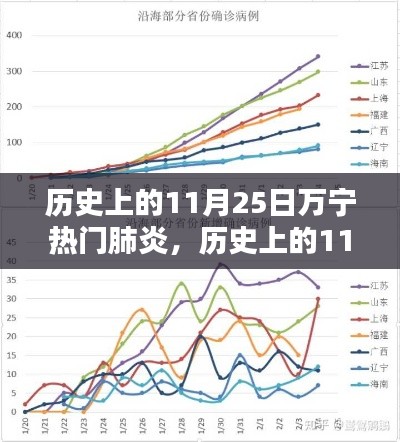 历史上的万宁肺炎事件与热门产品深度评测，11月25日的回顾与反思