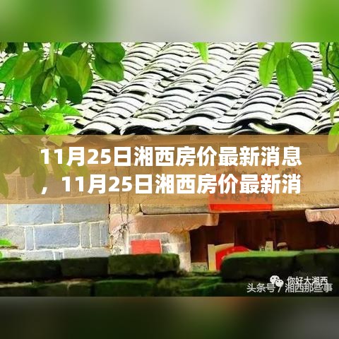 11月25日湘西房价最新动态，市场走势深度解读与个人立场分析