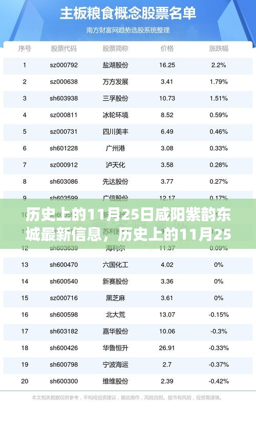 历史上的11月25日咸阳紫韵东城最新信息，历史上的11月25日咸阳紫韵东城之旅，追寻自然美景，发现内心的宁静