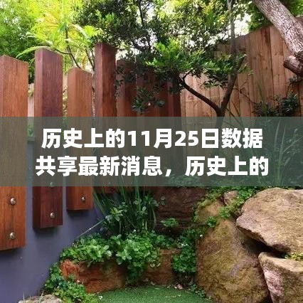 历史上的11月25日，与自然美景的奇妙邂逅的心灵之旅最新消息分享