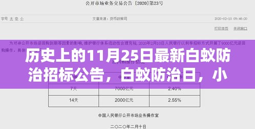 历史上的白蚁防治招标公告，小招的奇遇与友情的温暖传递日