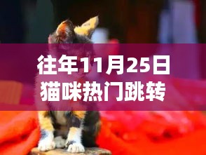 探秘小巷深处的猫咪乐园，特色猫跳狂欢日——历年11月25日的猫咪狂欢节纪实