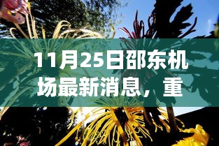 11月25日邵东机场最新消息，重磅更新邵东机场最新动态，揭秘十一月二十五日新消息，未来发展令人瞩目！