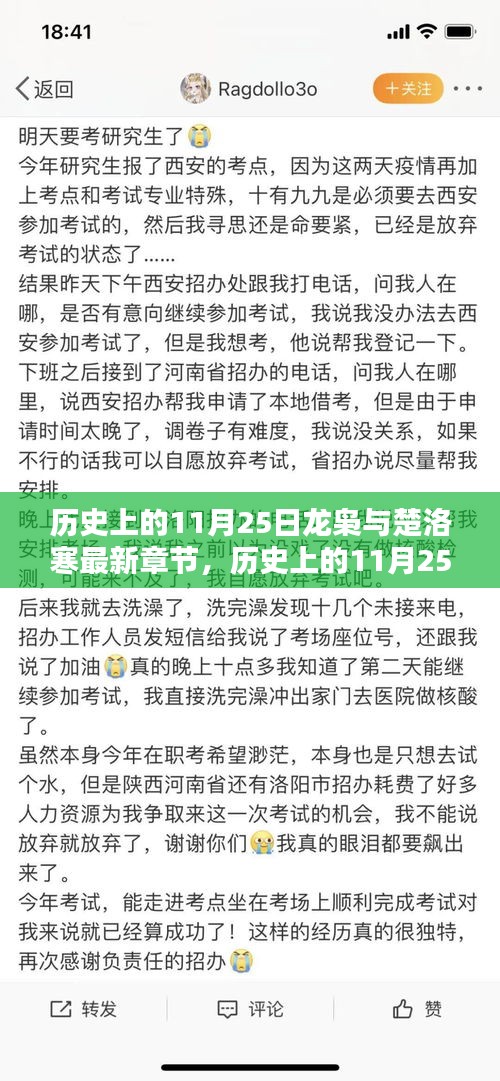 历史上的11月25日龙枭与楚洛寒最新章节，历史上的11月25日，龙枭与楚洛寒最新章节揭秘