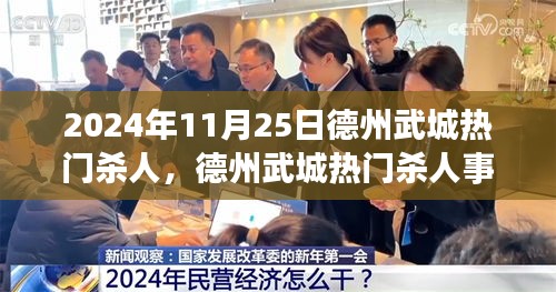 德州武城热门杀人事件深度剖析，探寻背后的真相（最新报道）