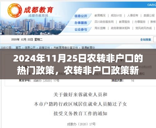 2024年11月25日农转非户口的热门政策，农转非户口政策新篇章，2024年11月25日的变革与影响