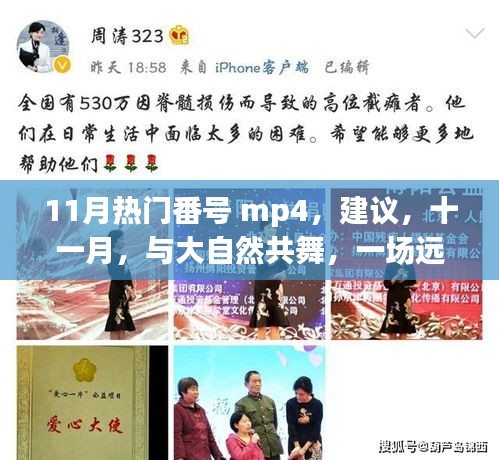 远离尘嚣的十一月自然美景探索之旅，MP4带你共舞大自然之美