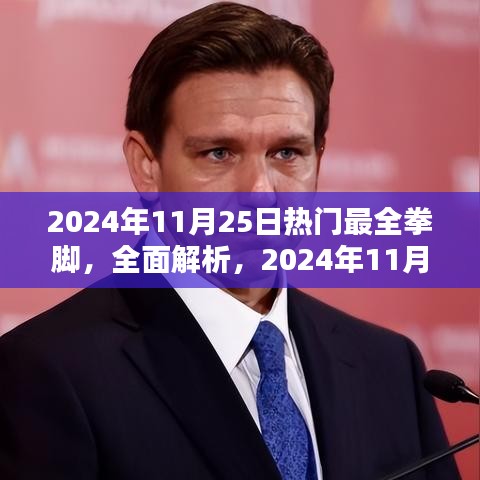 2024年11月25日热门拳脚全面解析与产品评测