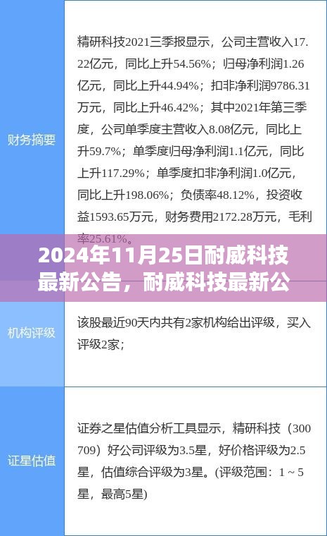 耐威科技最新公告深度解析，聚焦观点探讨未来展望（2024年11月25日）