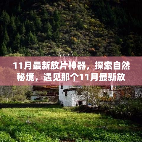 11月最新放片神器，探索自然秘境，遇见那个11月最新放片神器，重拾内心的宁静与平和